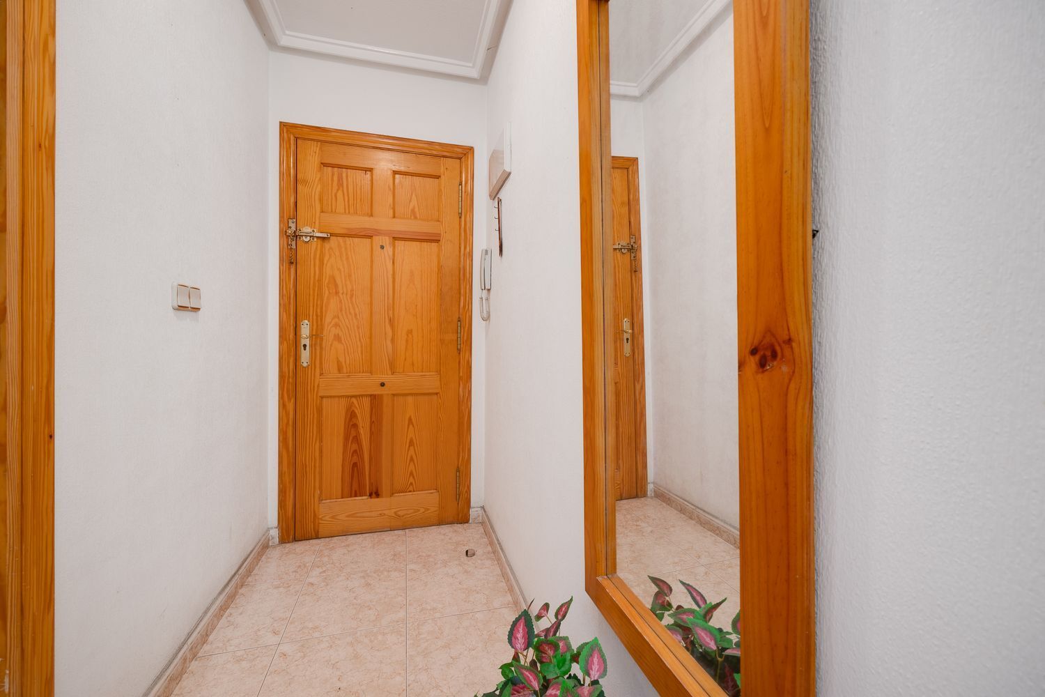 Pisos-Venta-Torrevieja-1399068-Foto-22
