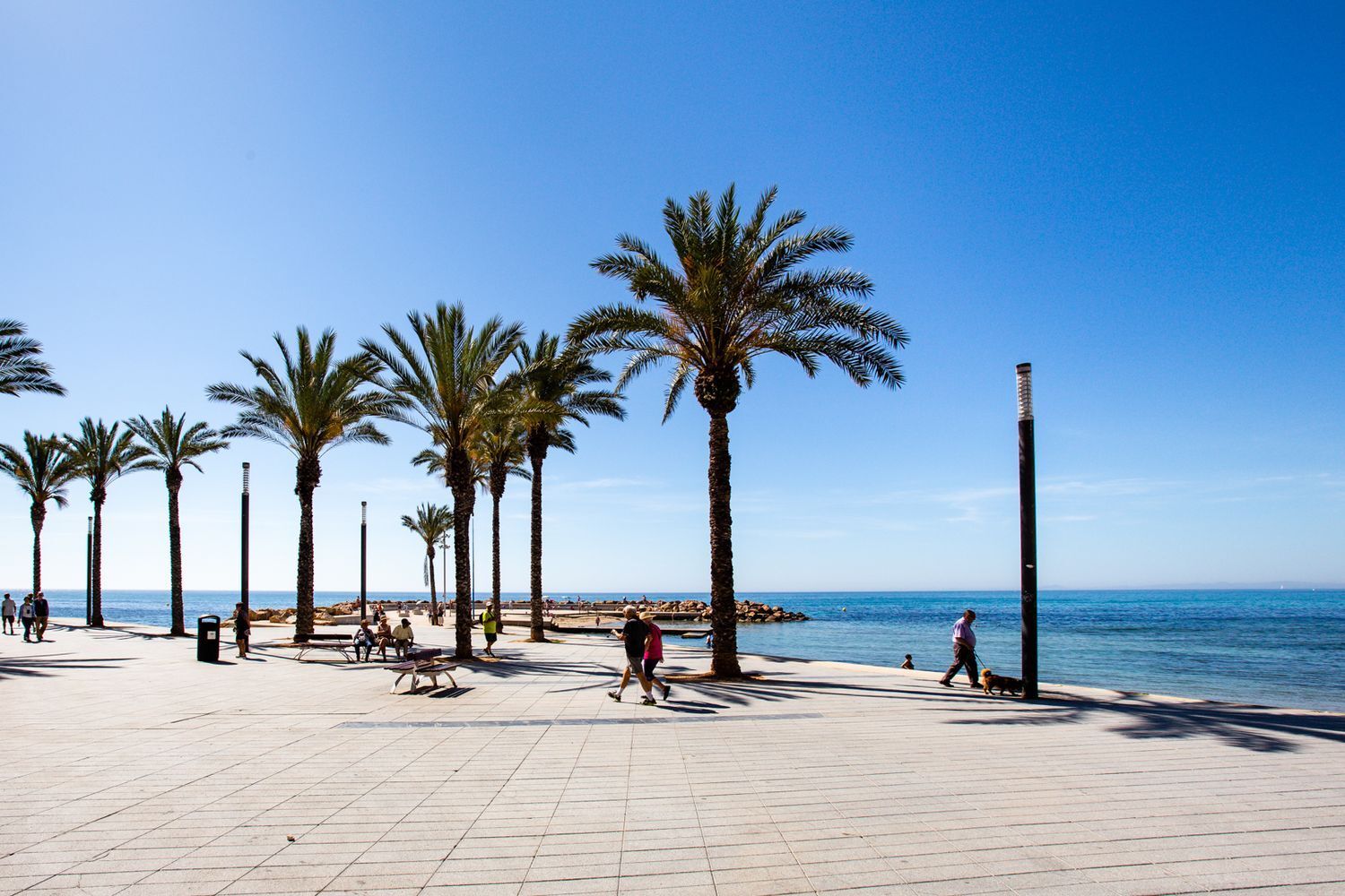 Pisos-Venta-Torrevieja-1717643-Foto-47