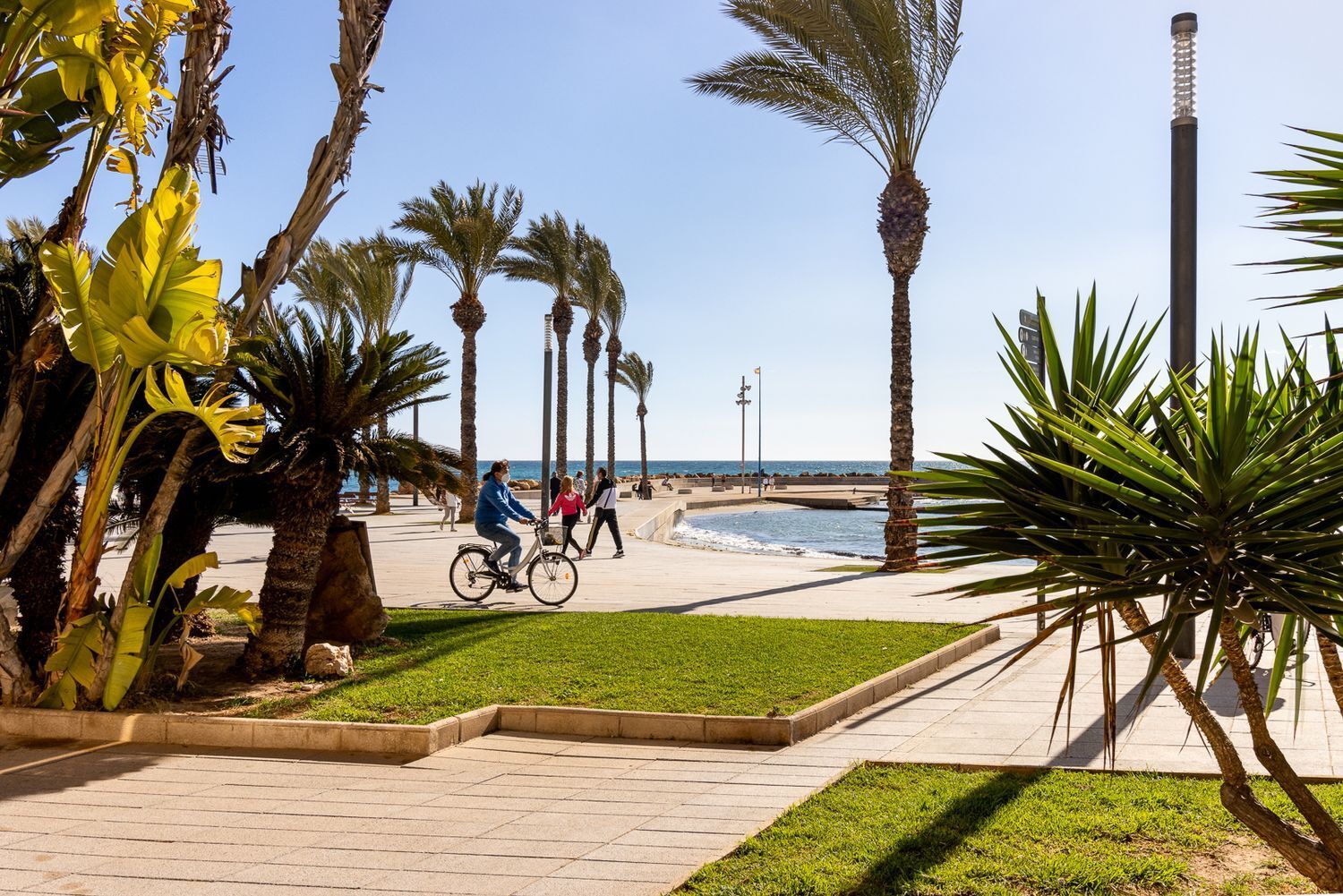 Pisos-Venta-Torrevieja-1717643-Foto-49