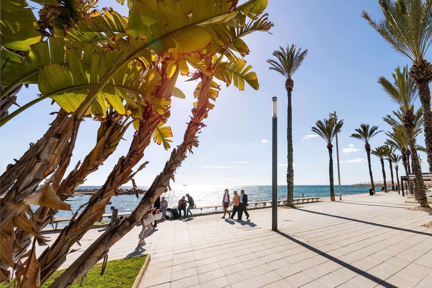 Pisos-Venta-Torrevieja-1717643-Foto-50