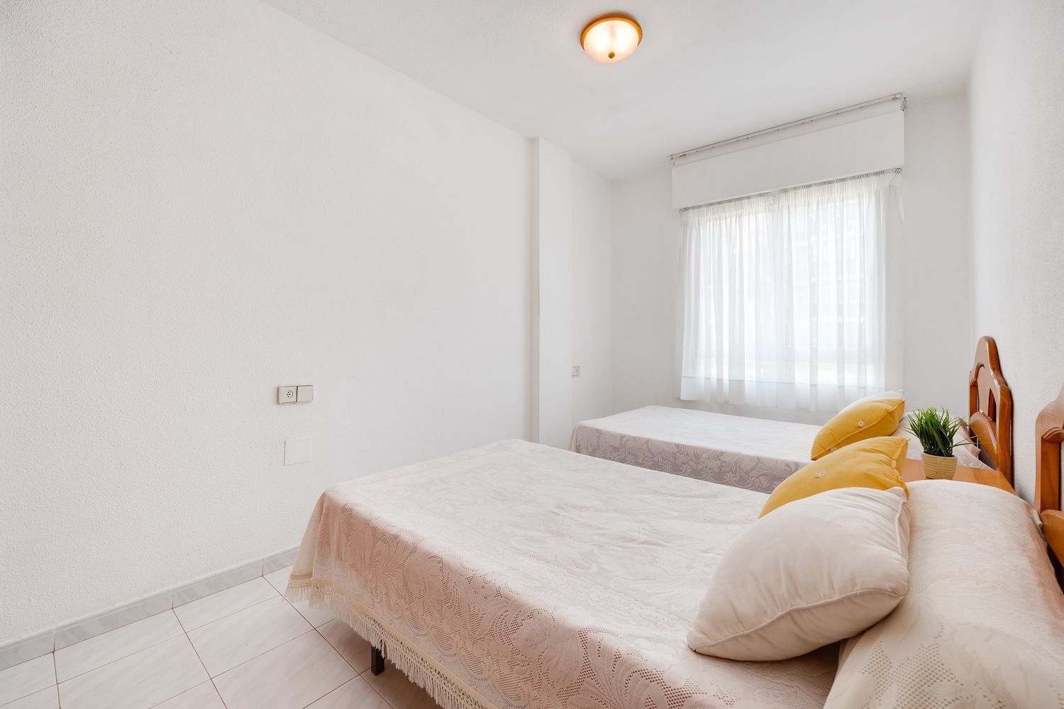 Casas o chalets-Venta-Torrevieja-1724681-Foto-18
