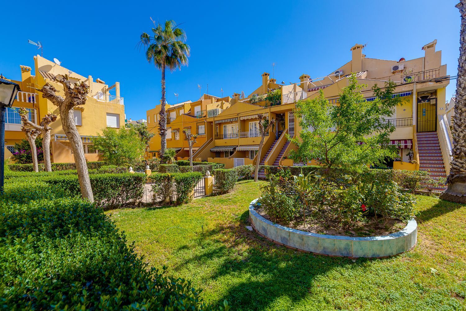 Casas o chalets-Venta-Torrevieja-1724681-Foto-23