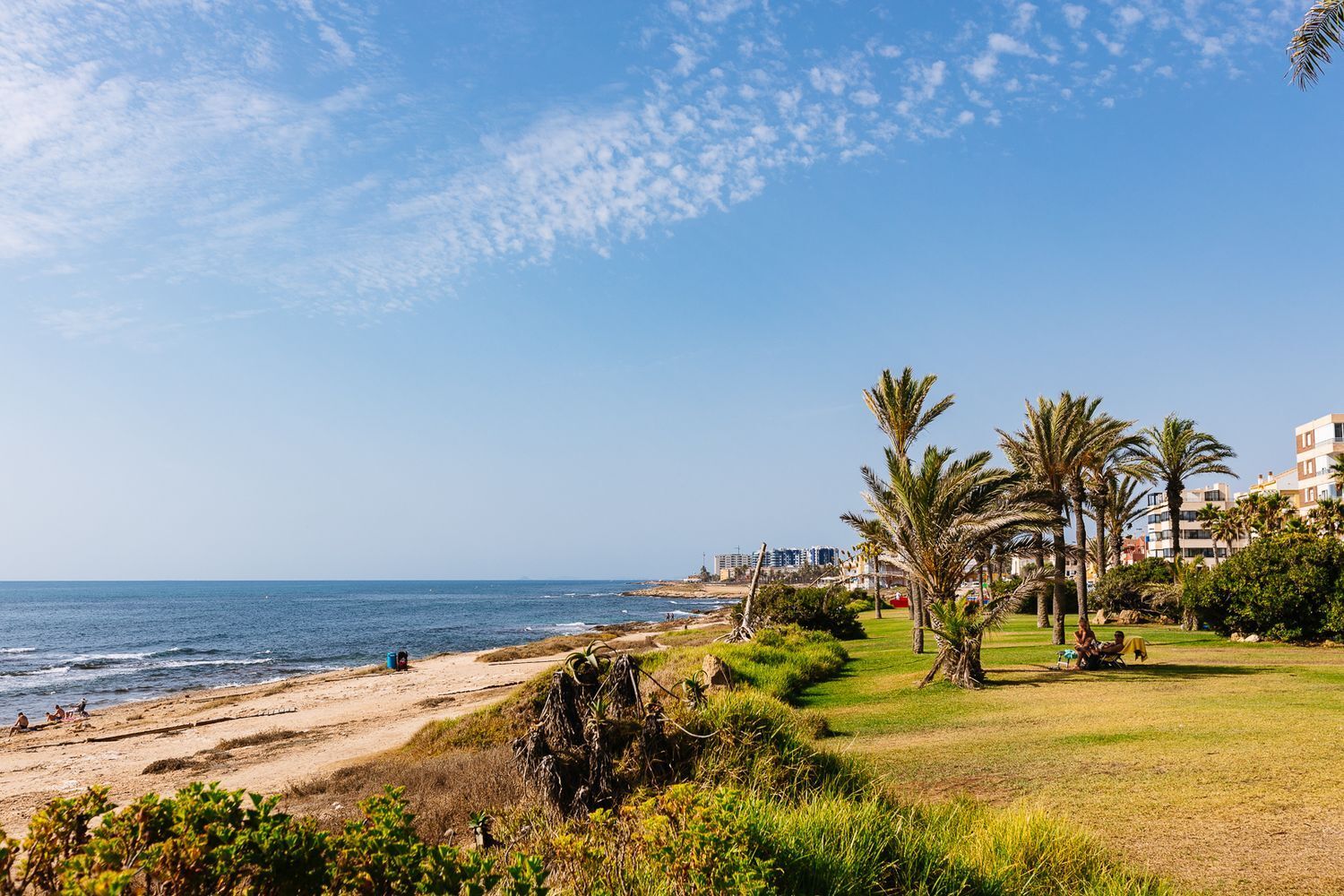 Casas o chalets-Venta-Torrevieja-1724681-Foto-31