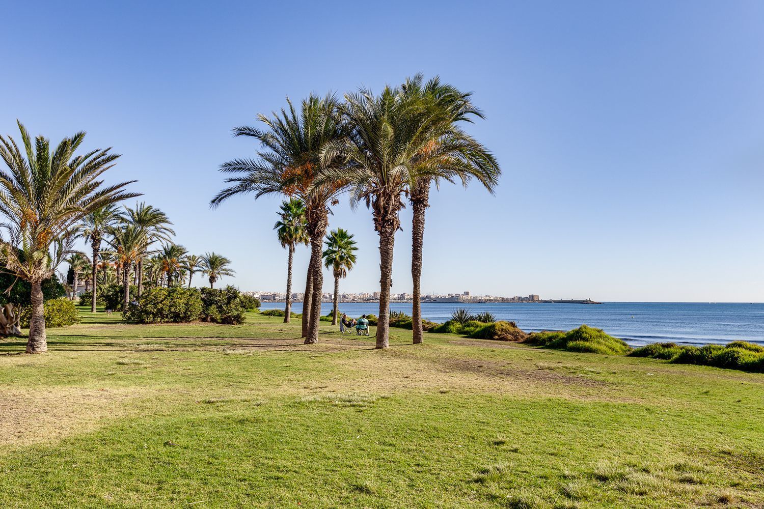 Casas o chalets-Venta-Torrevieja-1724681-Foto-33
