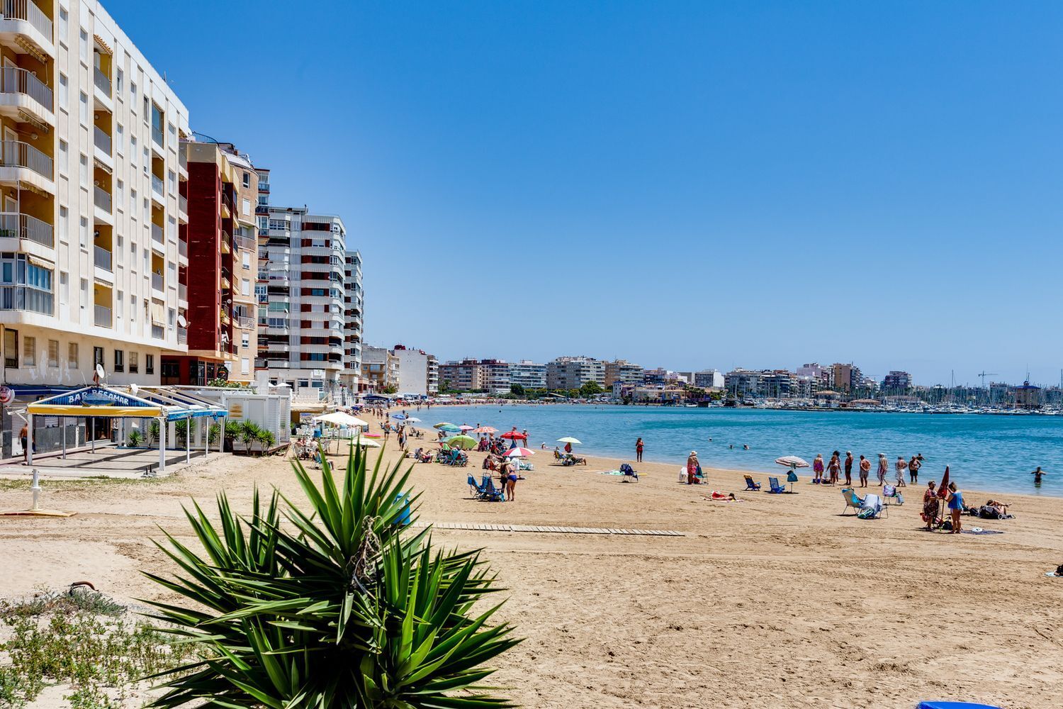 Casas o chalets-Venta-Torrevieja-1724681-Foto-39