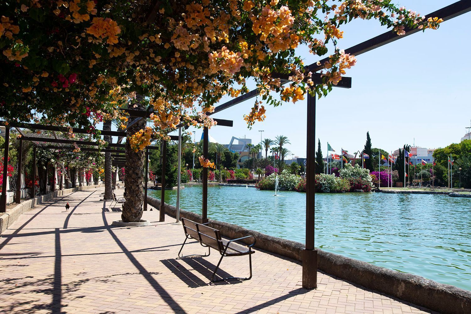 Pisos-Venta-Torrevieja-1727948-Foto-33