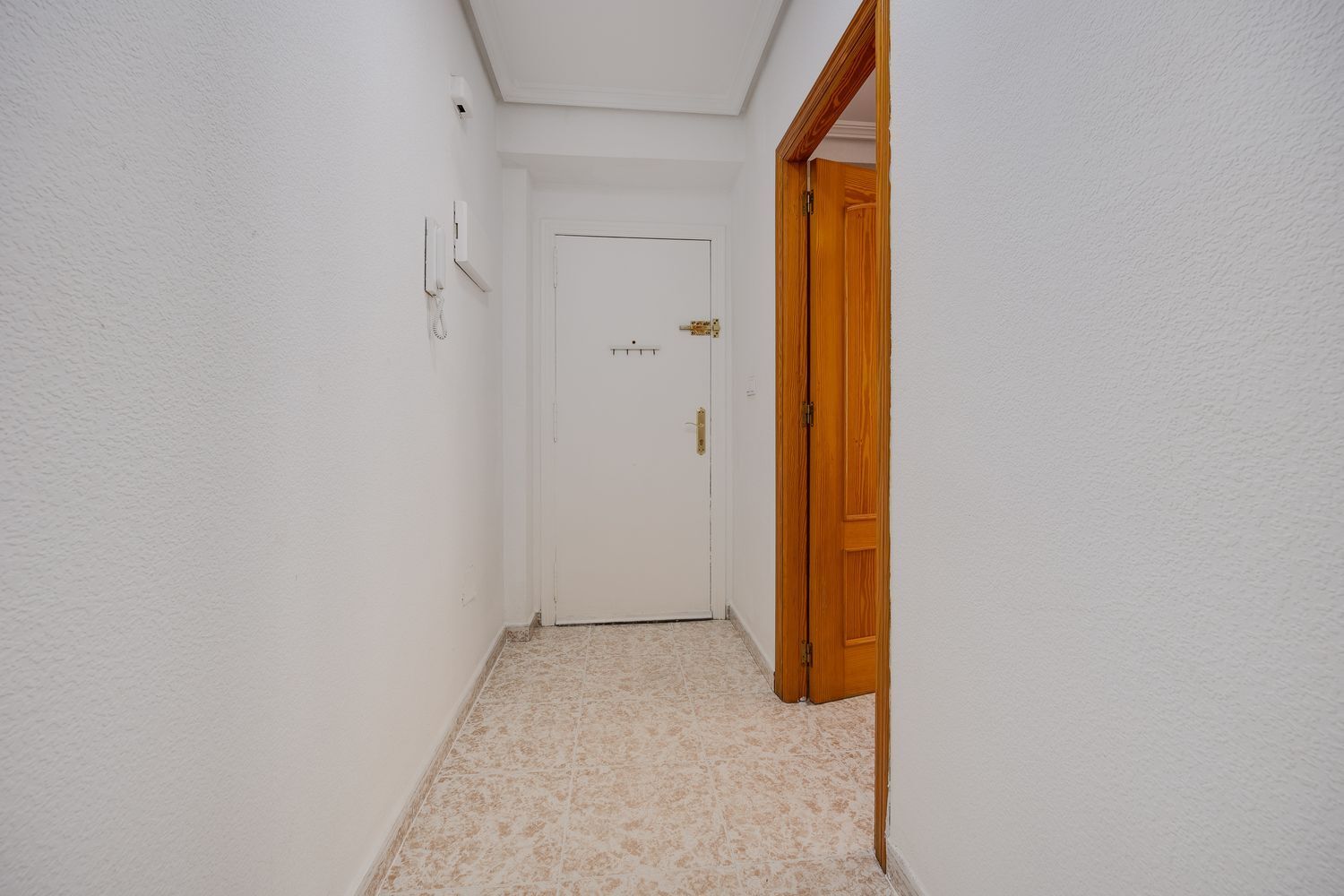 Pisos-Venta-Torrevieja-1731442-Foto-5