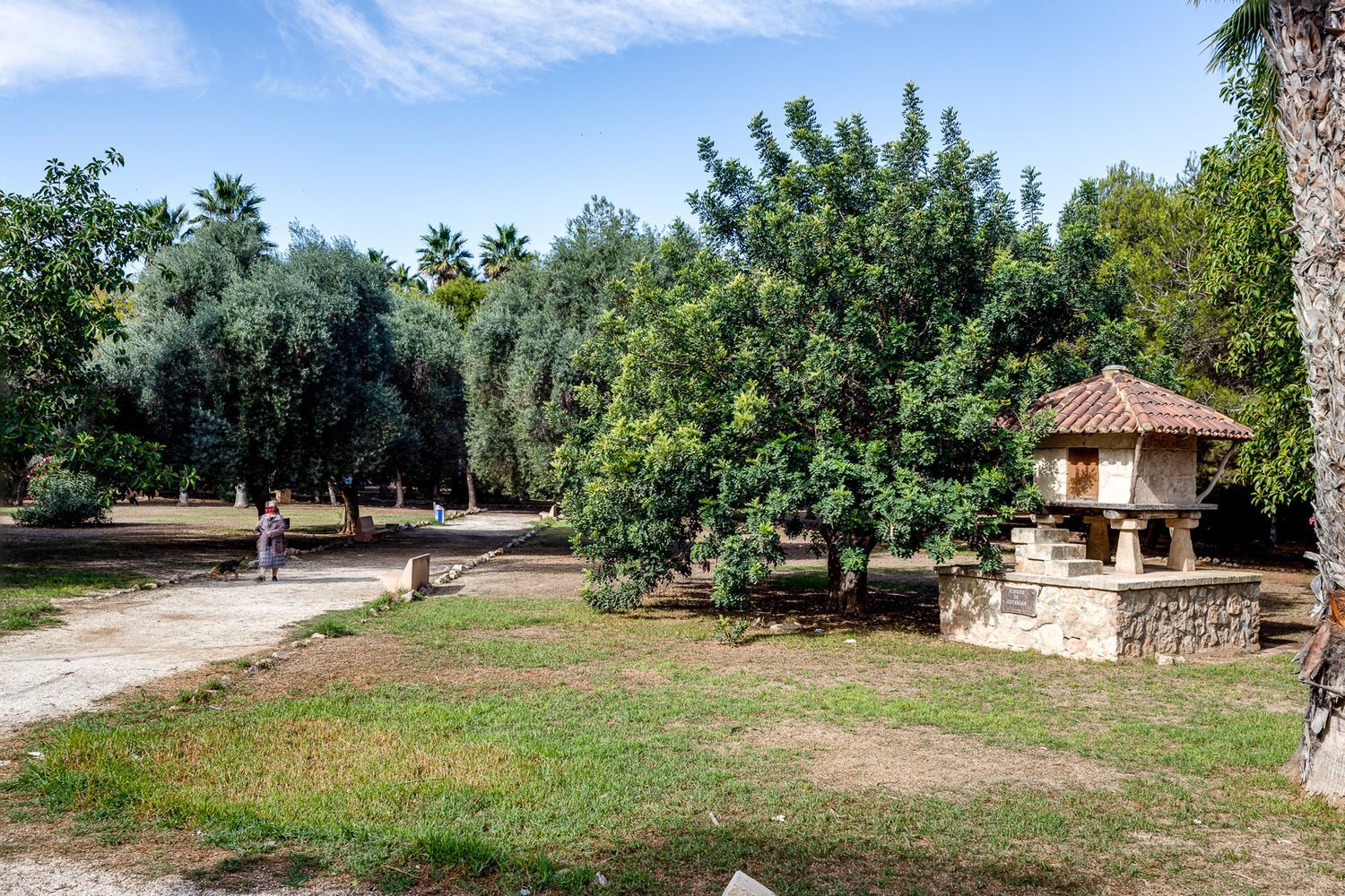 Pisos-Venta-Torrevieja-1731442-Foto-46