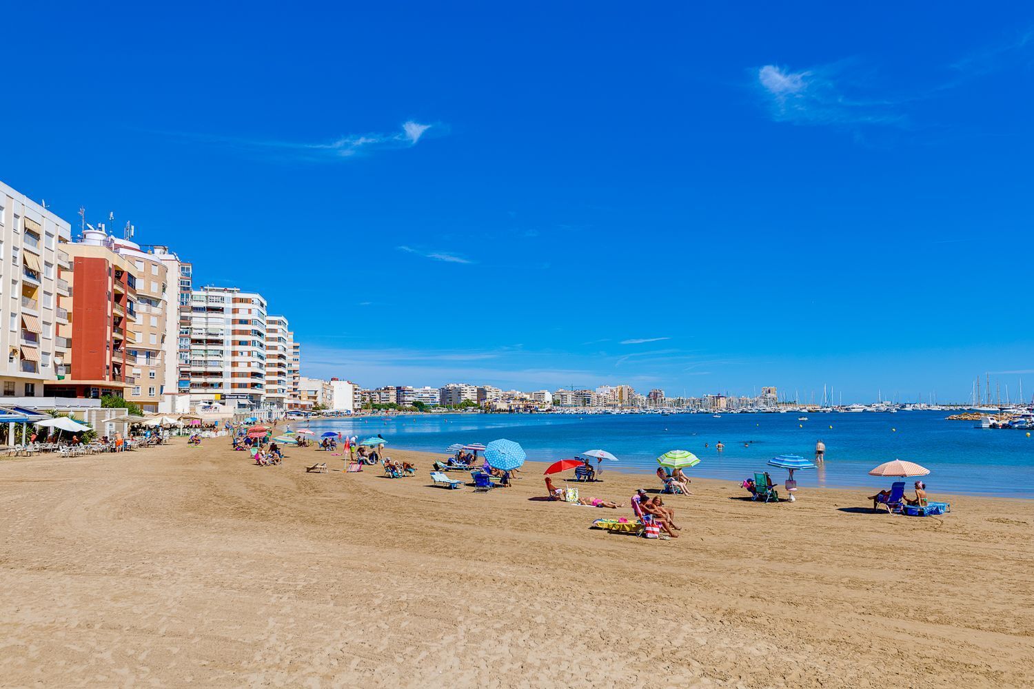 Pisos-Venta-Torrevieja-1731442-Foto-48