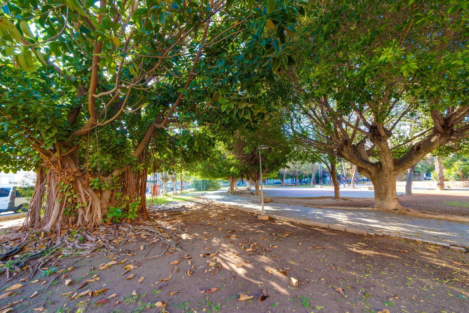 Pisos-Venta-Torrevieja-1731442-Foto-56