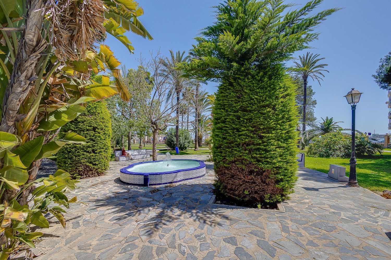 Pisos-Venta-Torrevieja-1731442-Foto-61