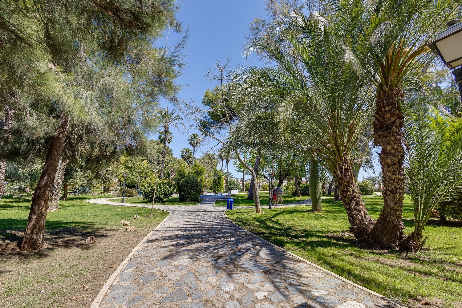 Pisos-Venta-Torrevieja-1221231-Foto-50