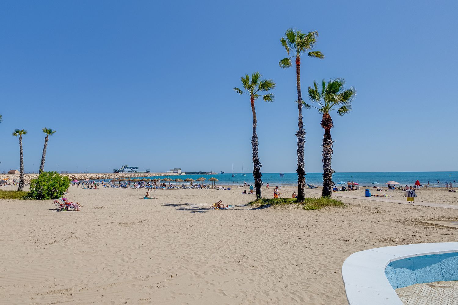 Pisos-Venta-Torrevieja-1221231-Foto-53