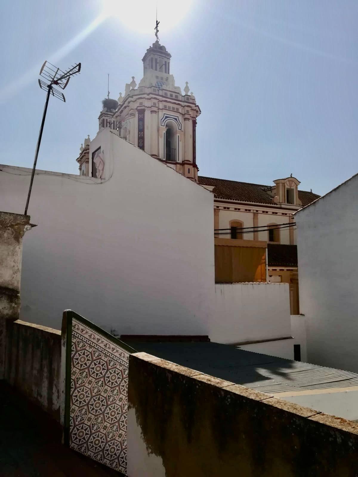 Casas o chalets-Venta-Tocina-1835083-Foto-17