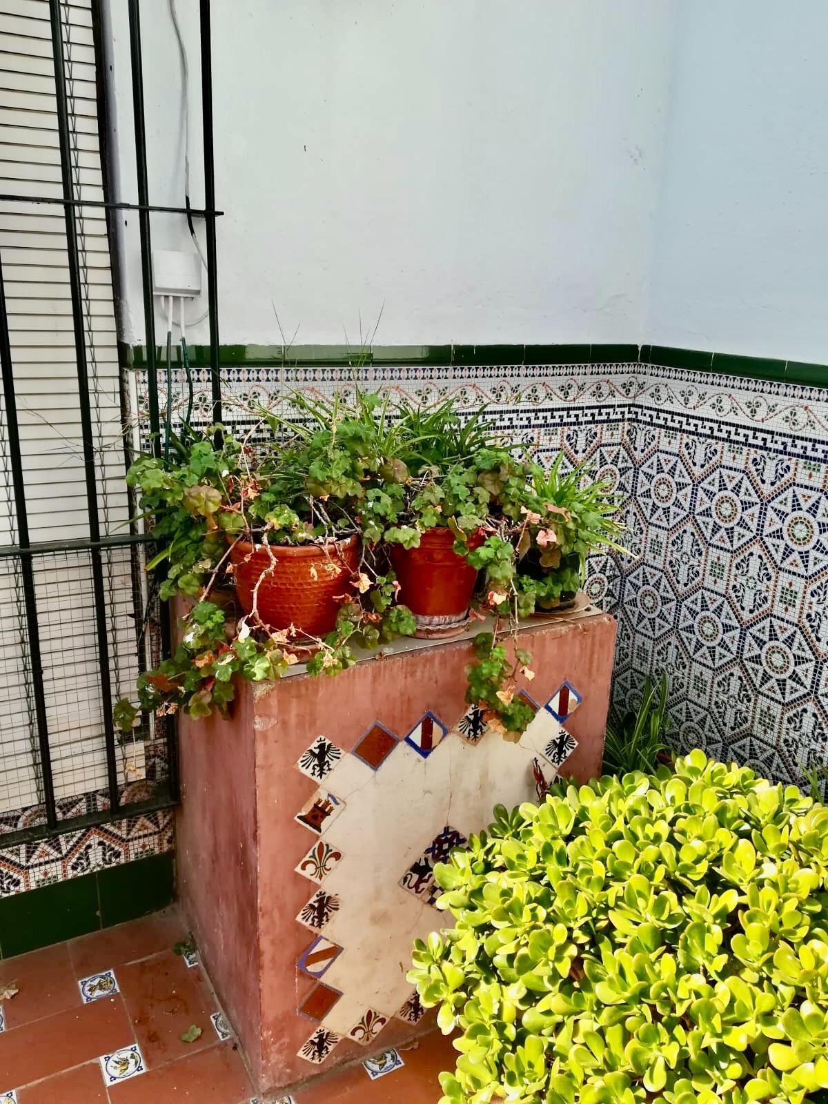 Casas o chalets-Venta-Tocina-1835083-Foto-16