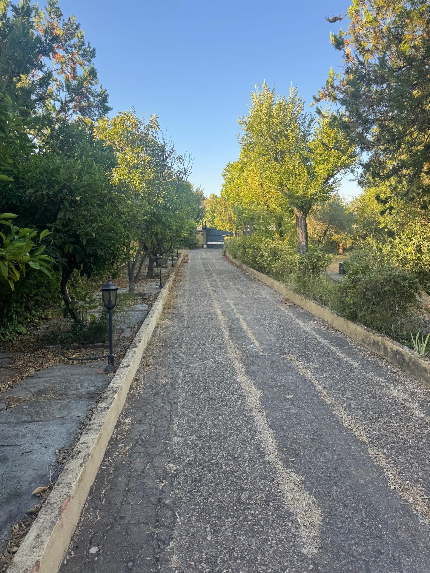 Casas o chalets-Venta-Palomares del RÃ­o-1831451-Foto-3