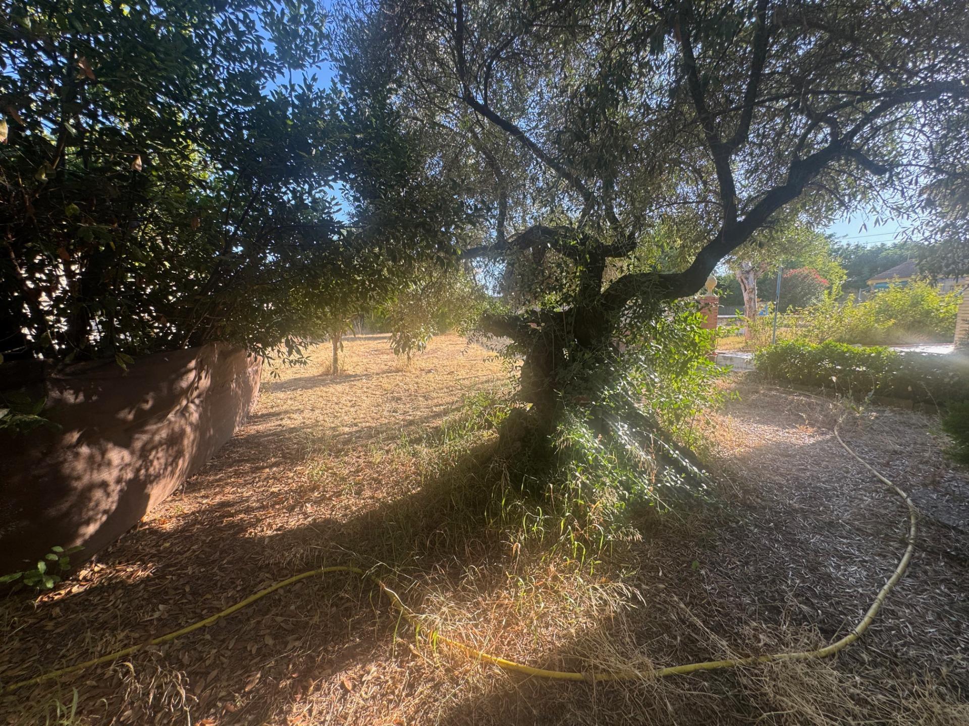 Casas o chalets-Venta-Palomares del RÃ­o-1831451-Foto-54