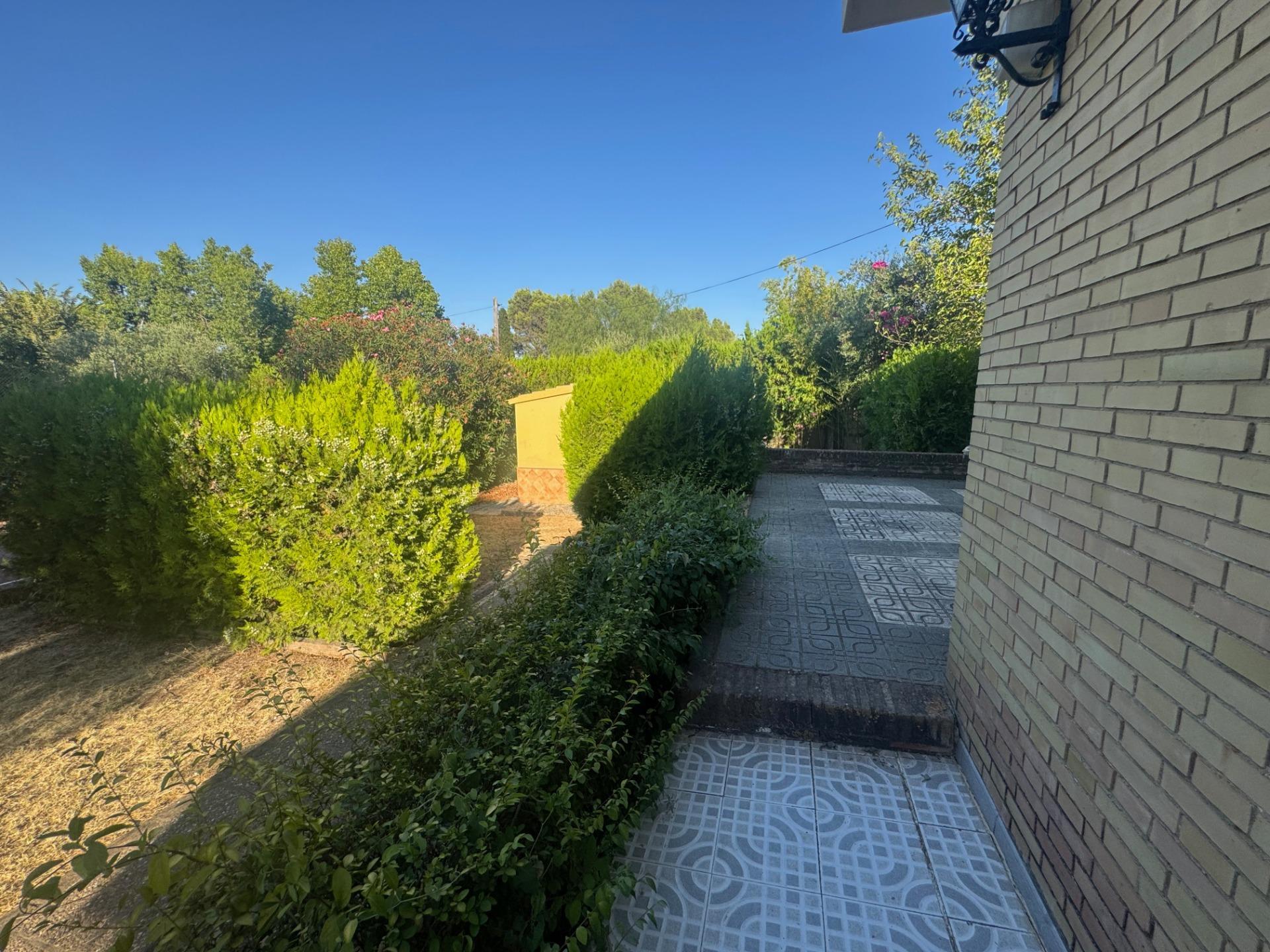 Casas o chalets-Venta-Palomares del RÃ­o-1831451-Foto-59