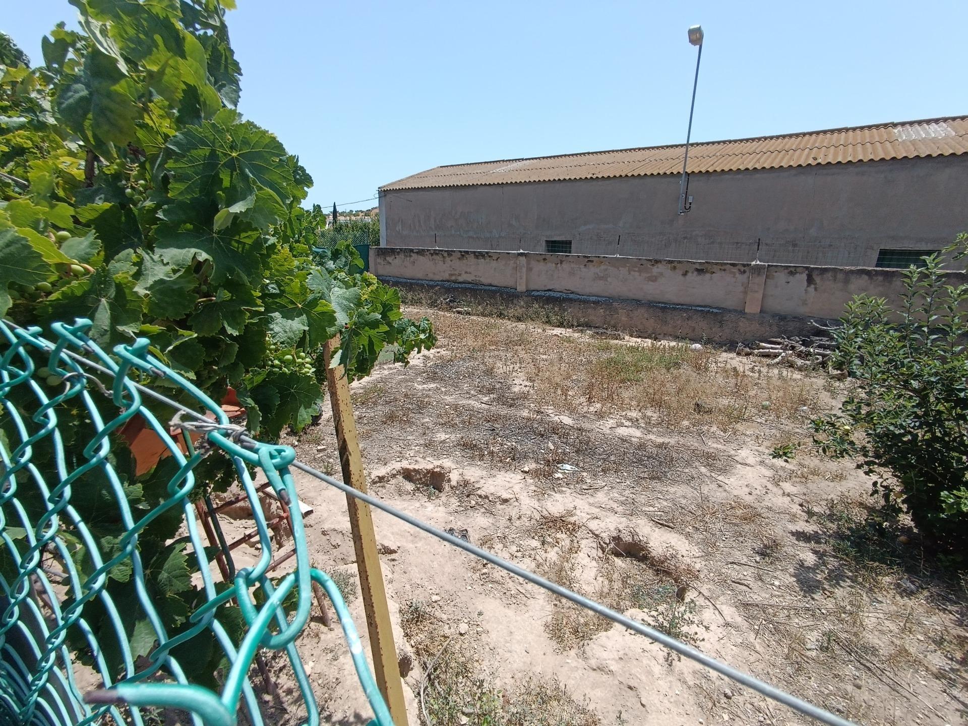 Pisos-Venta-Murcia-1835323-Foto-21