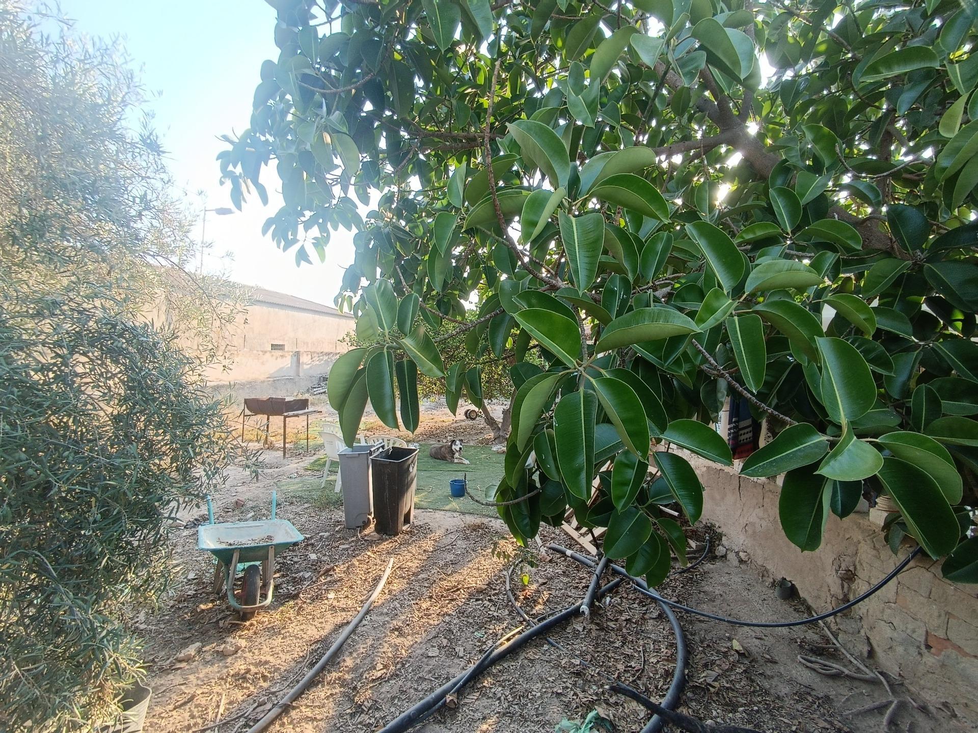 Pisos-Venta-Murcia-1835323-Foto-29