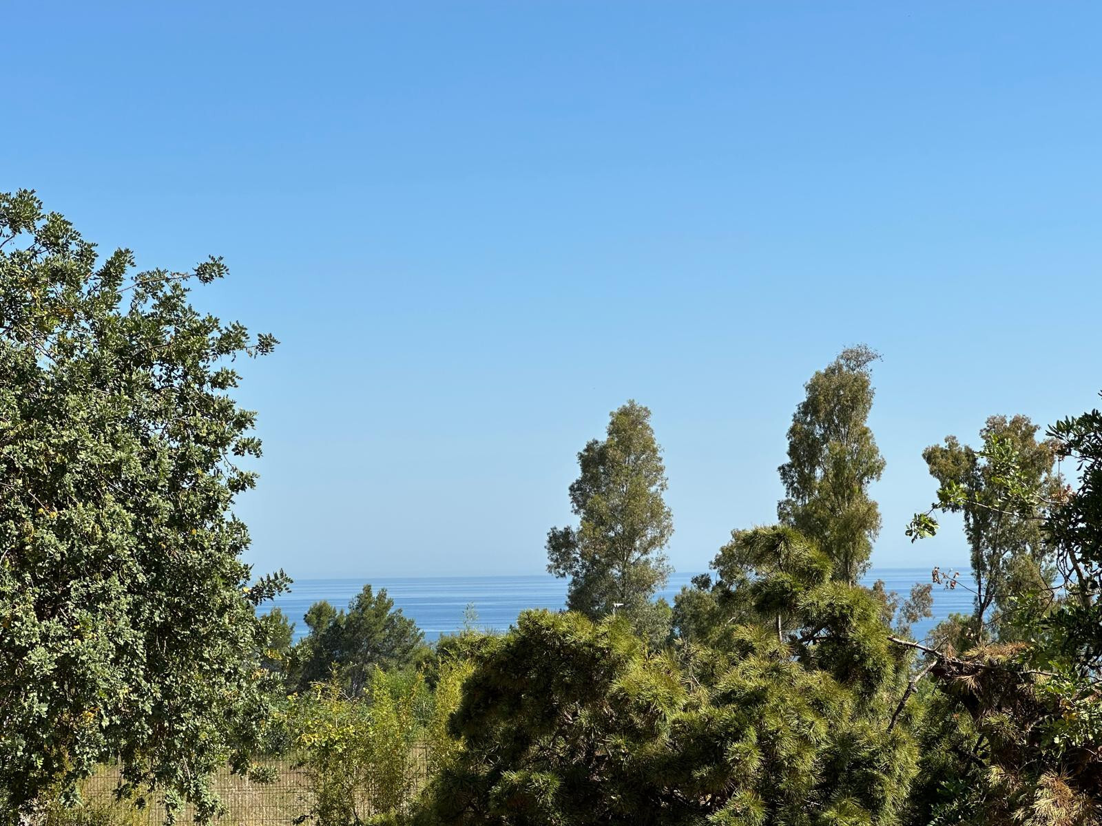 Casas o chalets-Venta-Marbella-1835341