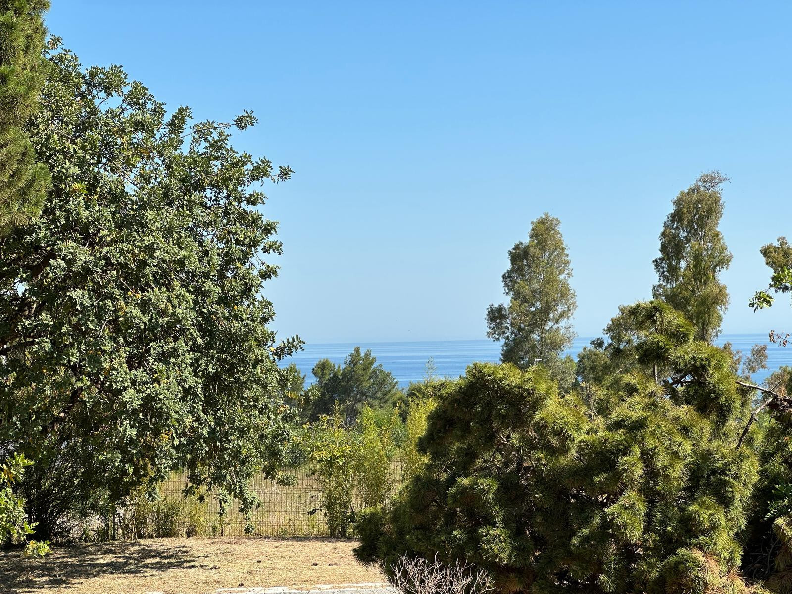 Casas o chalets-Venta-Marbella-1835341-Foto-35