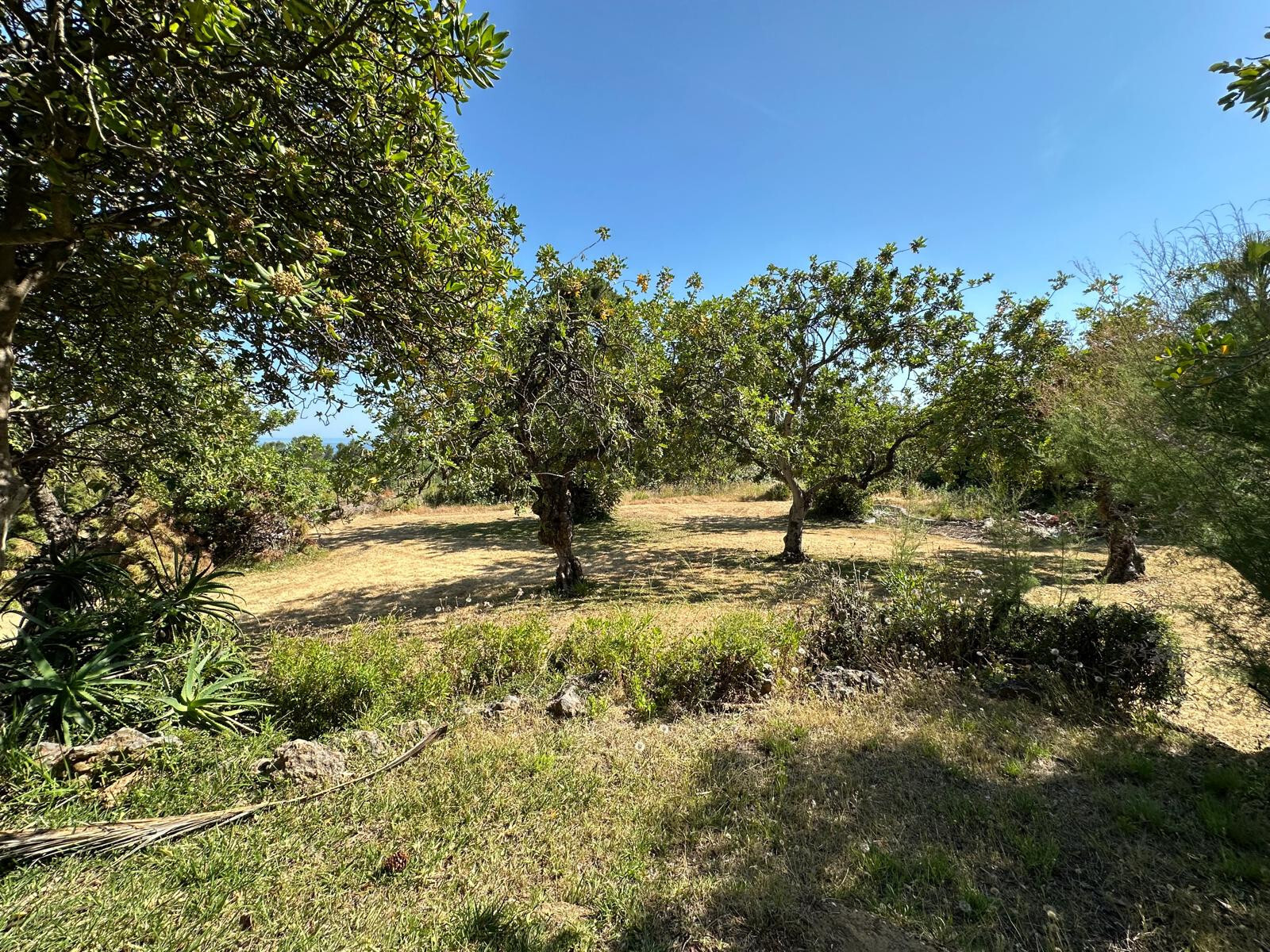 Casas o chalets-Venta-Marbella-1835341-Foto-36