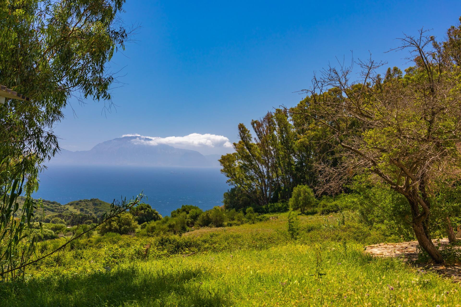 Pisos-Venta-Tarifa-1835347-Foto-5