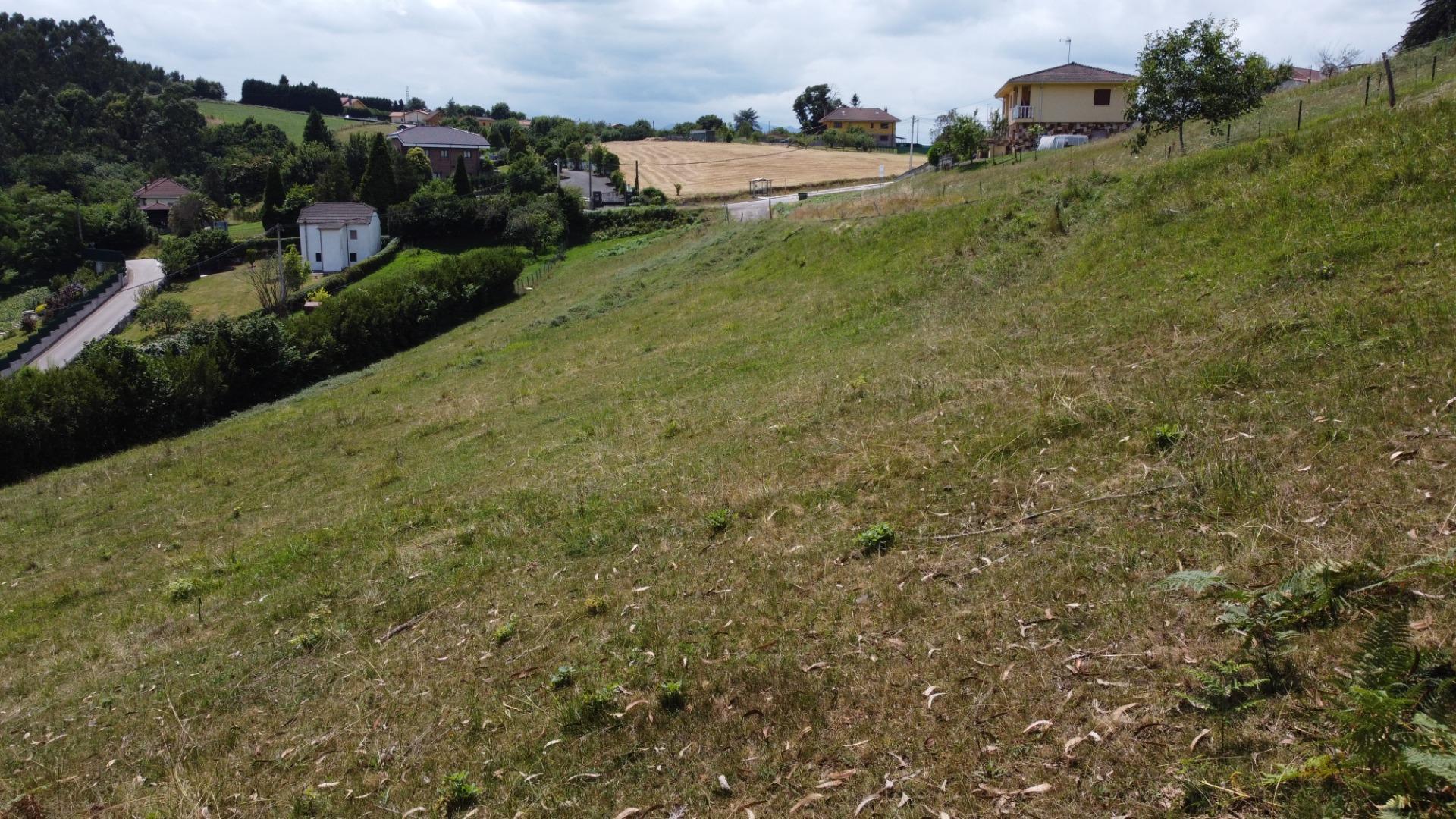 Fincas y solares-Venta-Las Regueras-1835356-Foto-21
