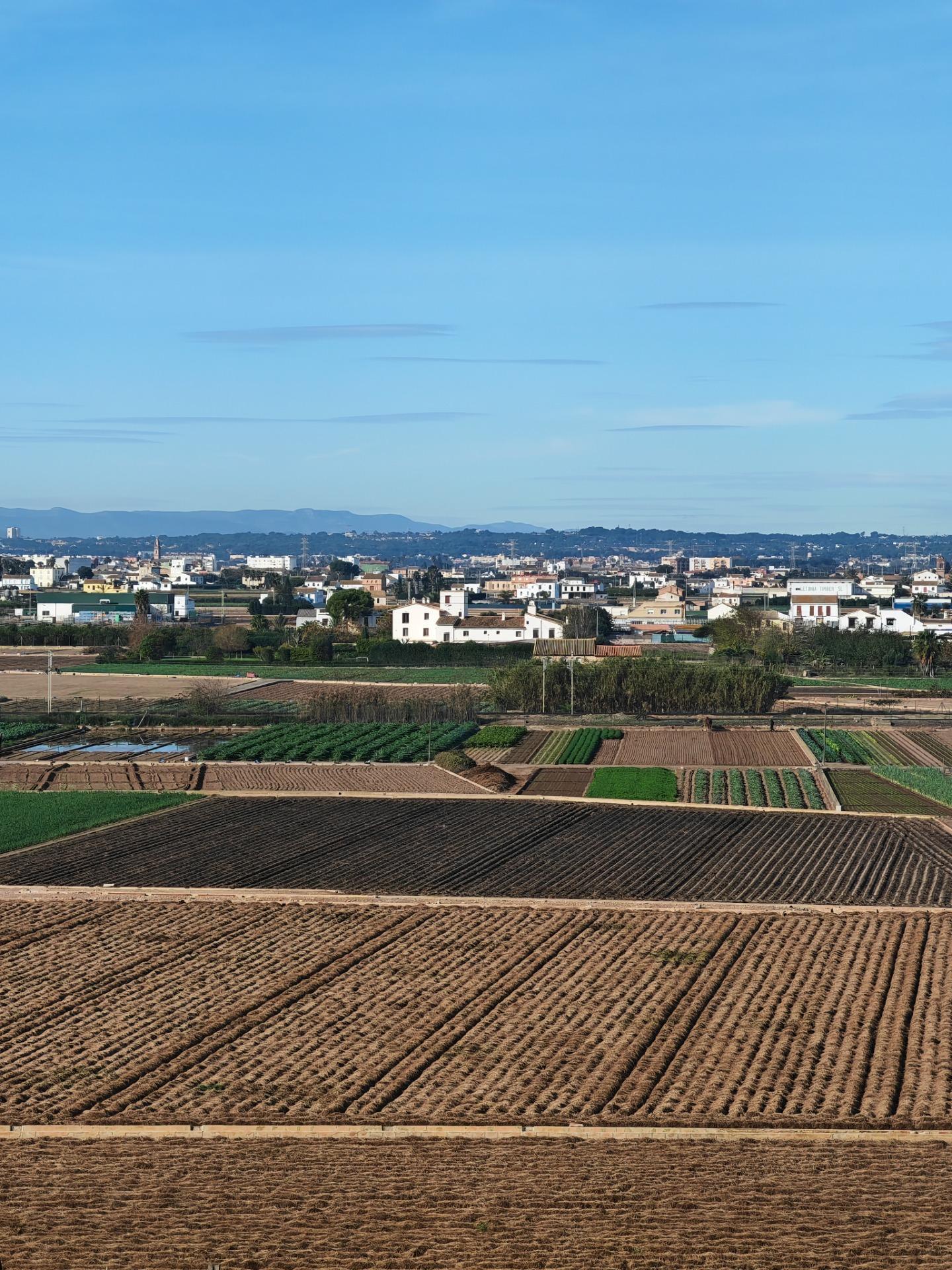 Pisos-Venta-Alboraya-1651635-Foto-46
