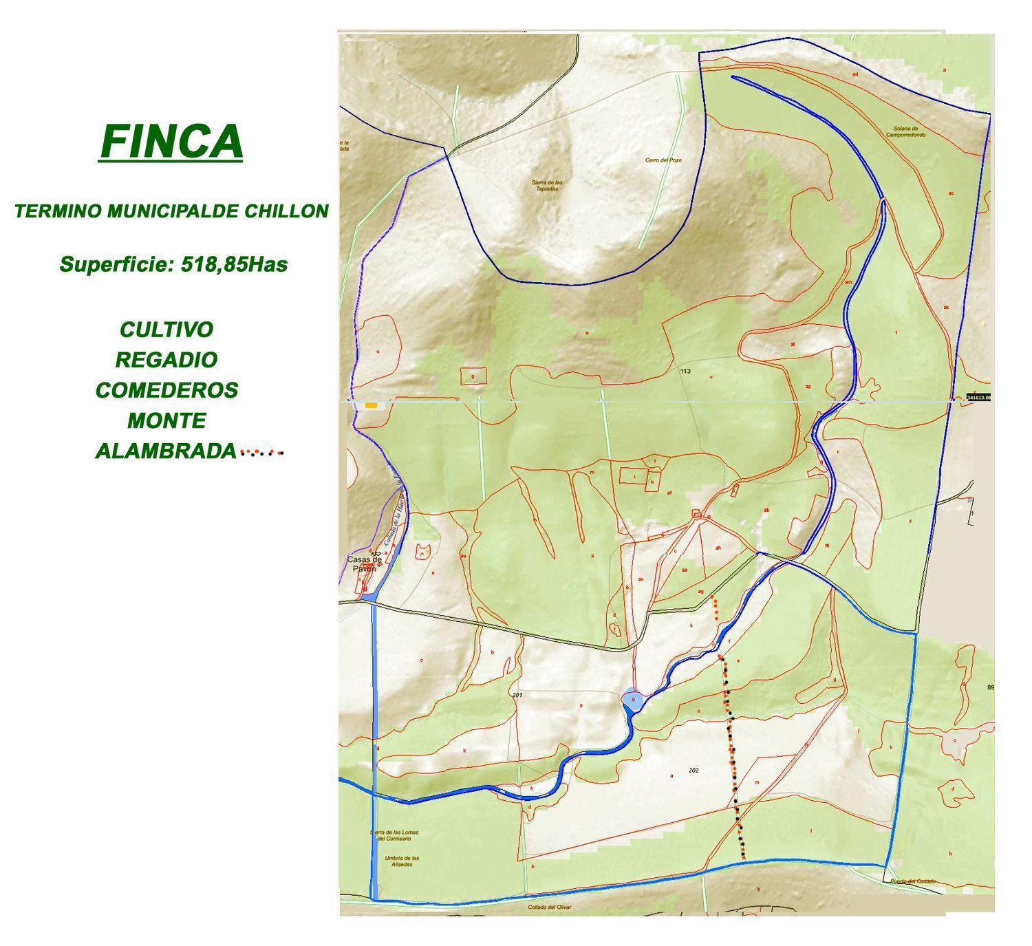Fincas y solares-Venta-ChillÃ³n-1507555-Foto-45
