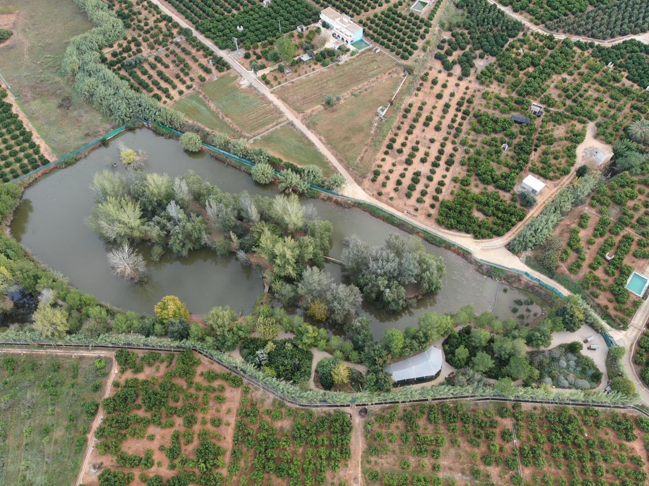 Pisos-Venta-Alzira-1720614-Foto-5
