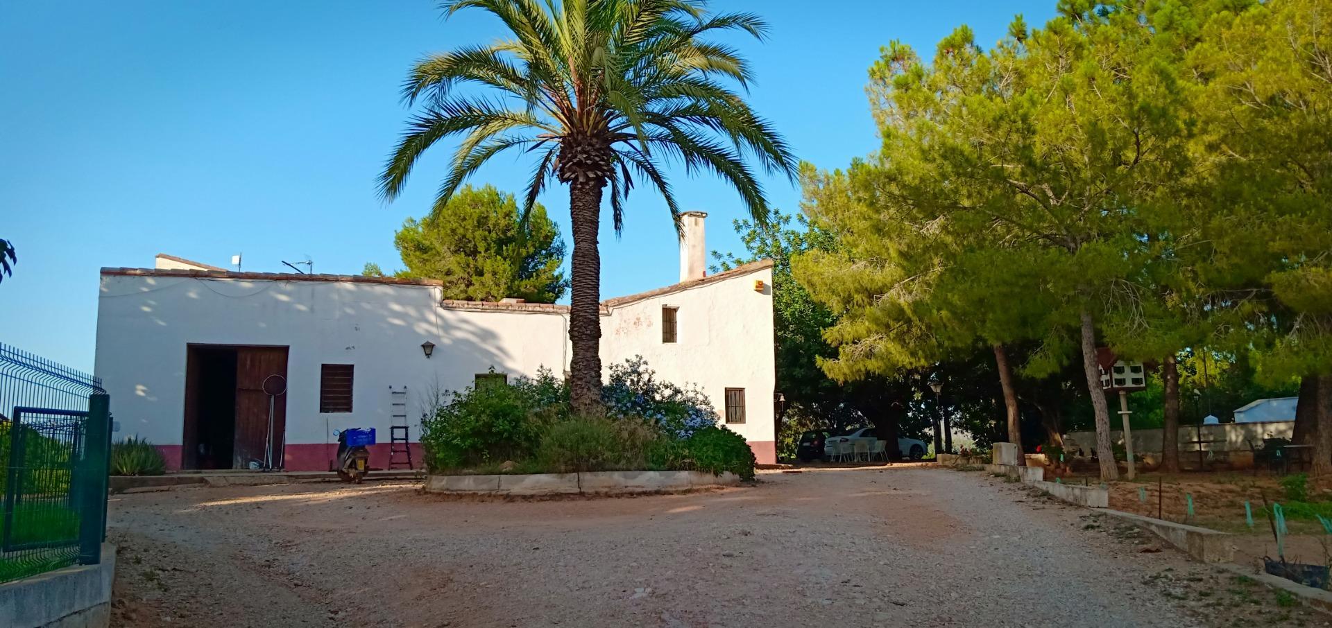 Pisos-Venta-Alzira-1720614-Foto-34