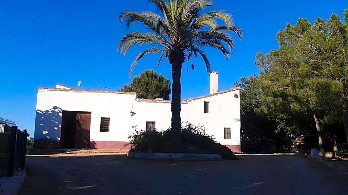 Pisos-Venta-Alzira-1720614-Foto-36