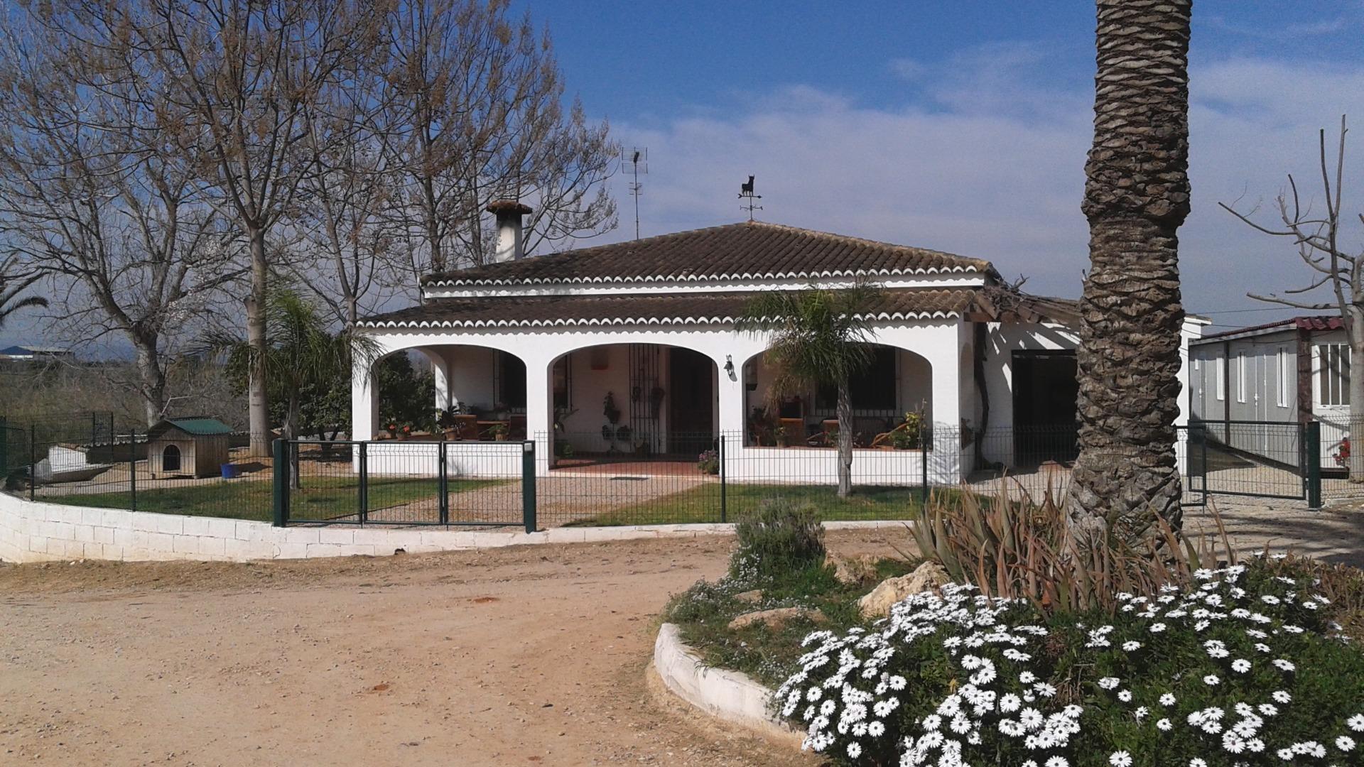 Pisos-Venta-Alzira-1720614-Foto-46