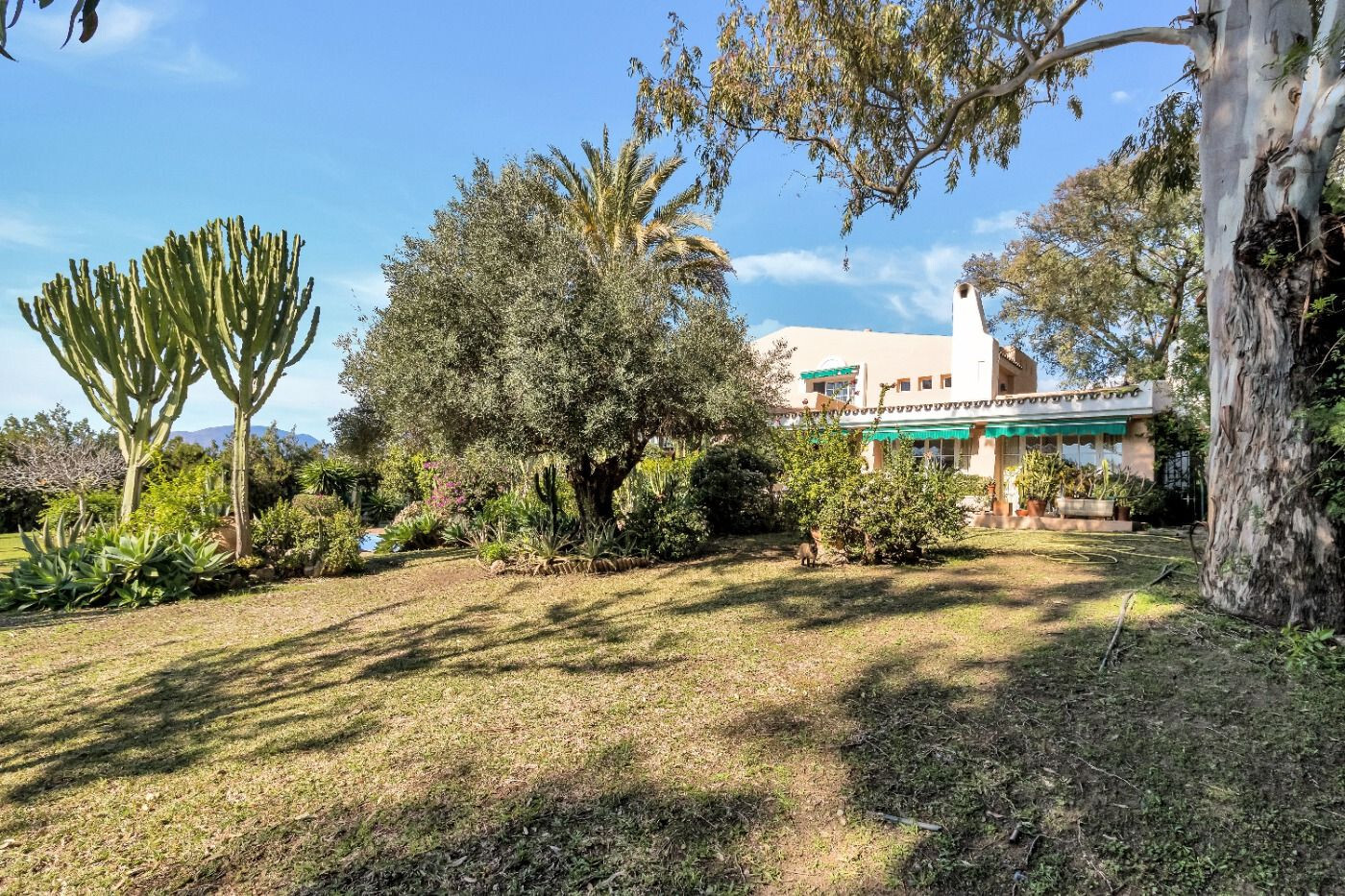Casas o chalets-Venta-Estepona-1835687-Foto-37
