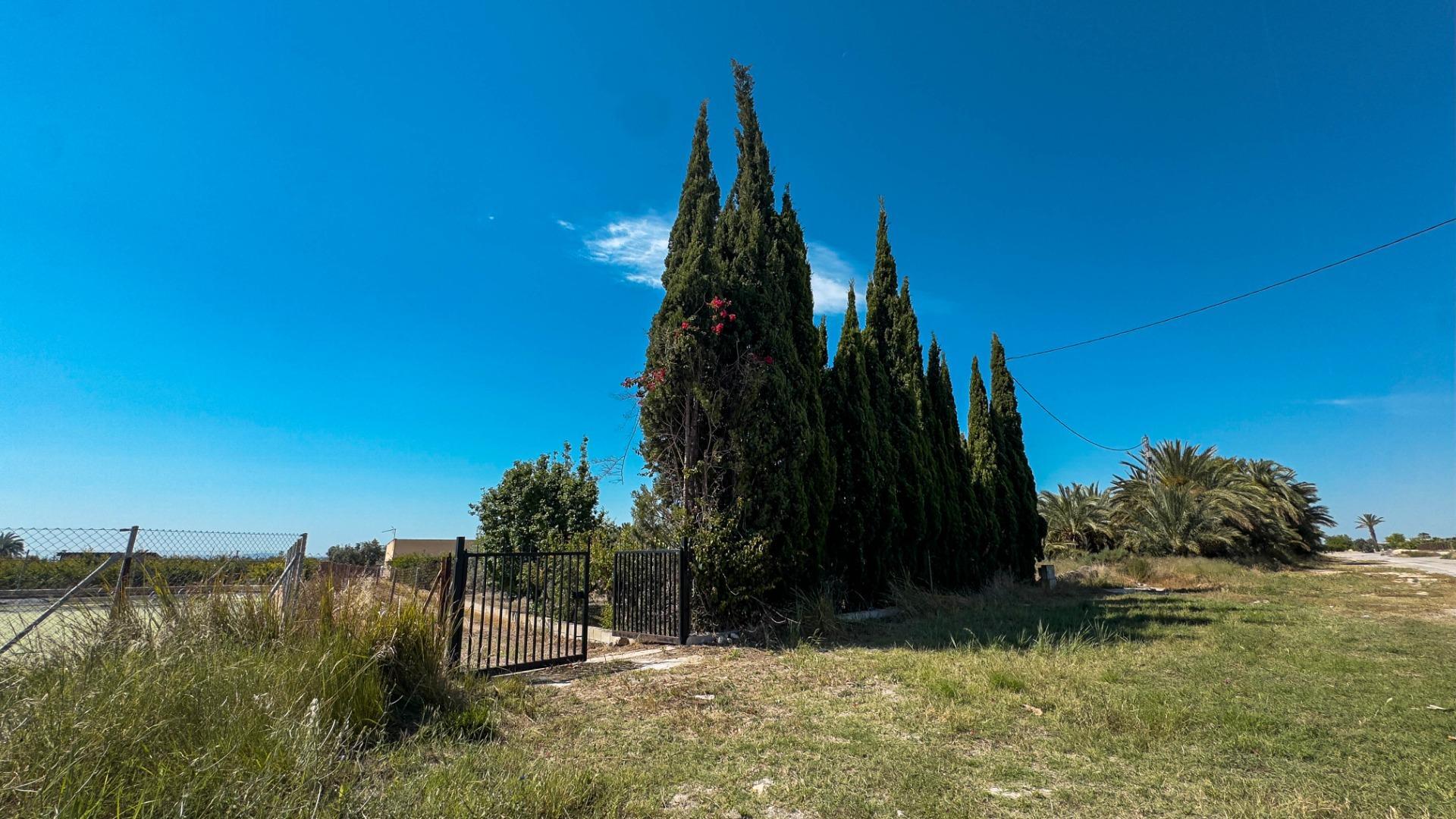 Fincas y solares-Venta-Crevillent-1734199-Foto-14