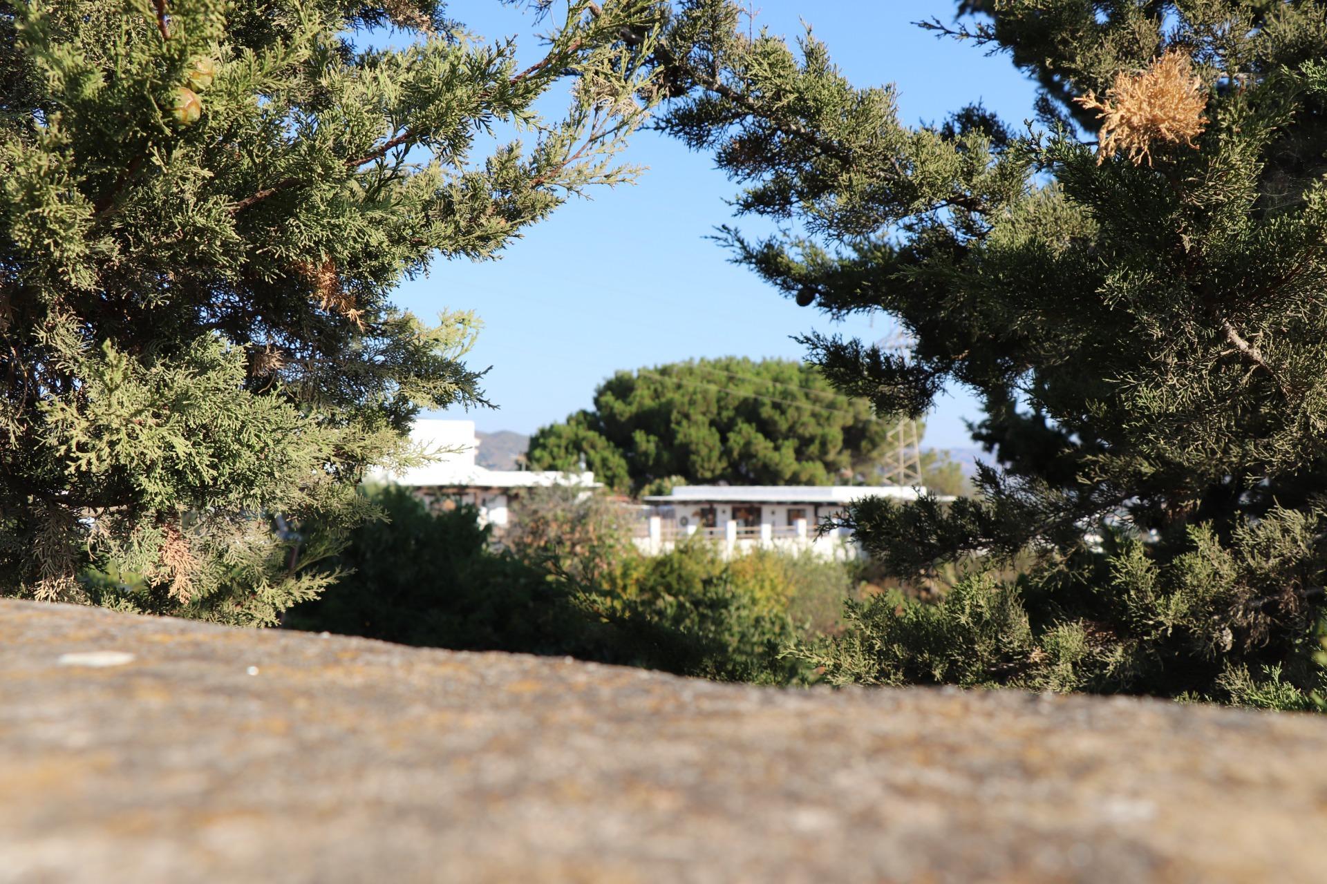 Fincas y solares-Venta-AlhaurÃ­n de la Torre-1832023-Foto-4