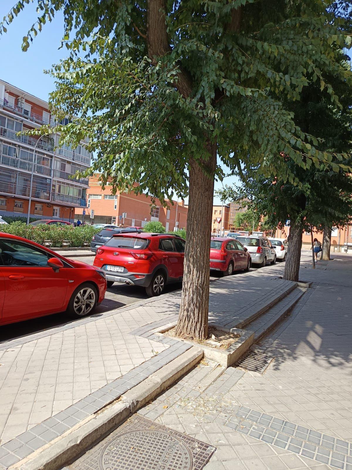 Pisos-Alquiler-Madrid-1833765-Foto-5