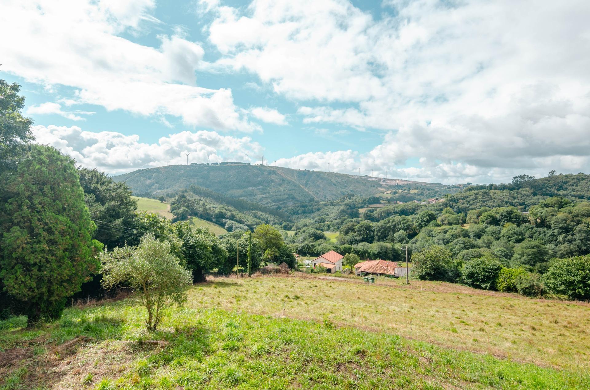 Casas o chalets-Venta-Salas-1835911-Foto-34