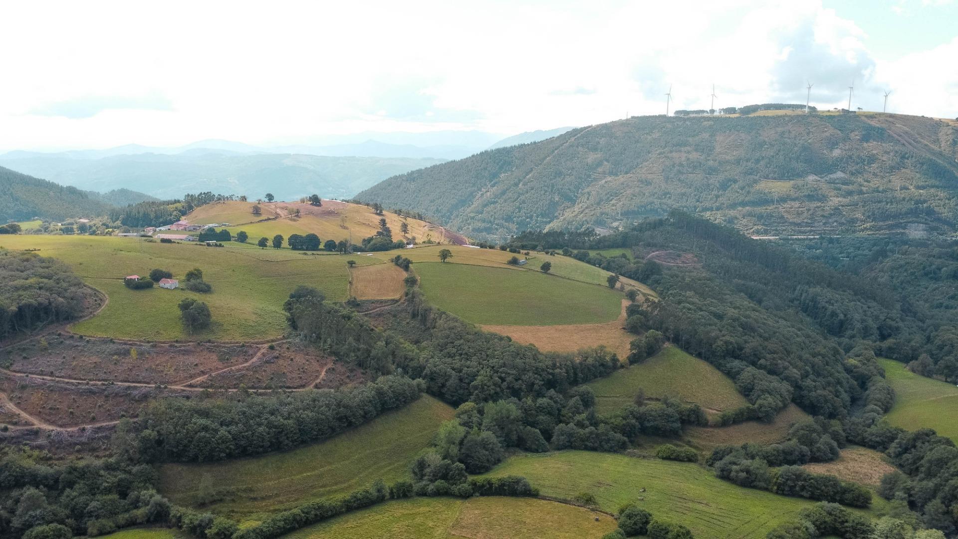 Casas o chalets-Venta-Salas-1835911-Foto-39