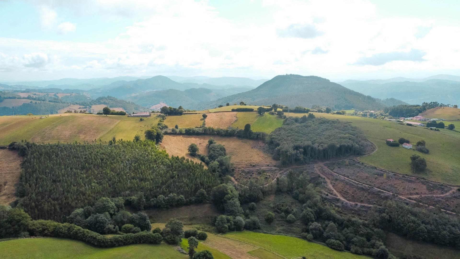 Casas o chalets-Venta-Salas-1835911-Foto-46