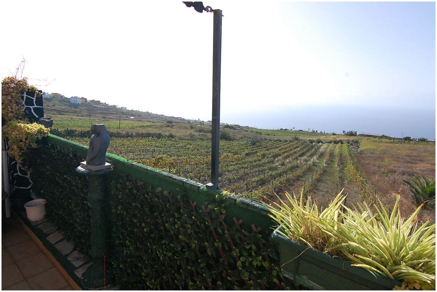 Casas o chalets-Venta-El Sauzal-1835923-Foto-3