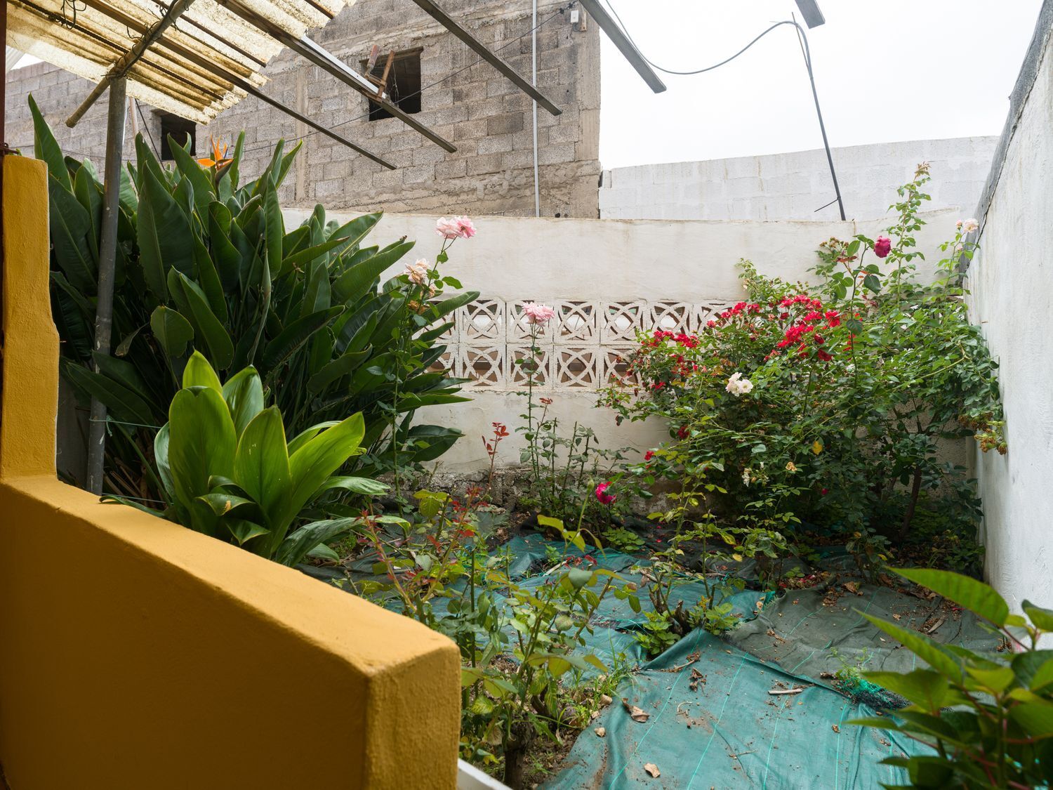 Pisos-Venta-Moya-1835929-Foto-17
