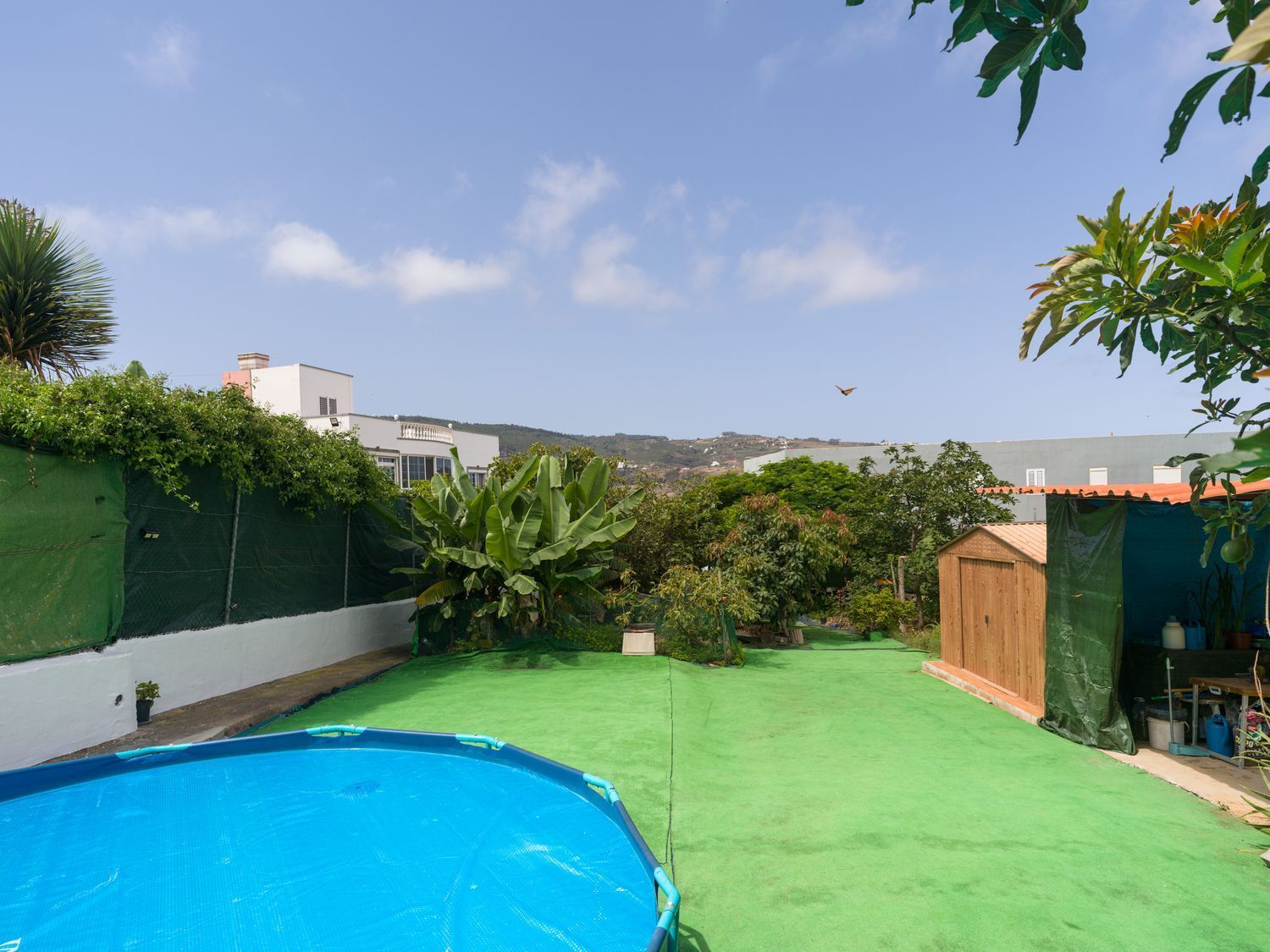 Pisos-Venta-Moya-1835929-Foto-30