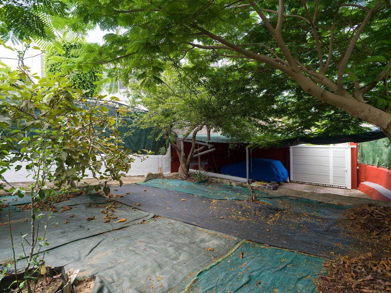 Pisos-Venta-Moya-1835929-Foto-24