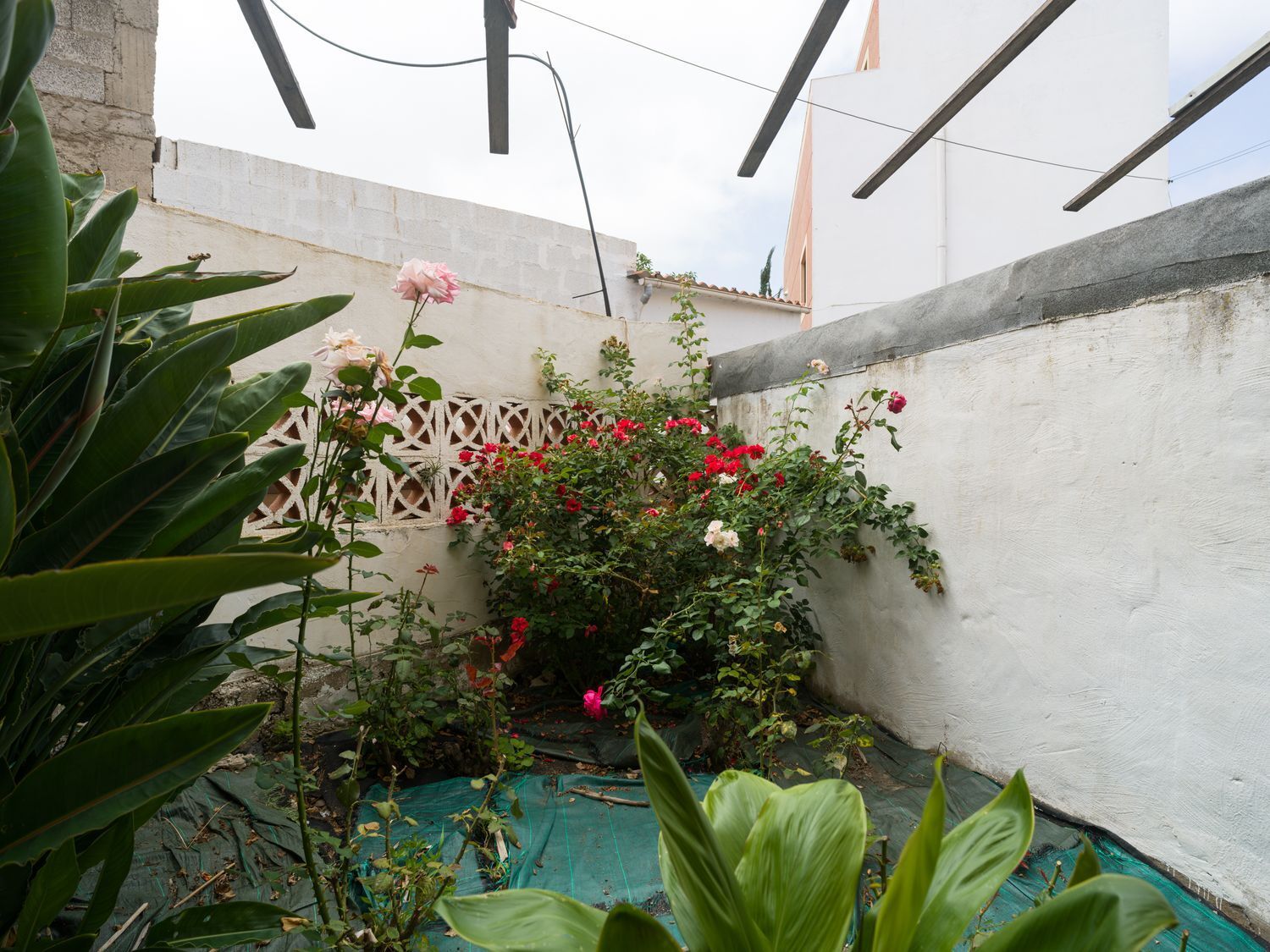 Pisos-Venta-Moya-1835929-Foto-38