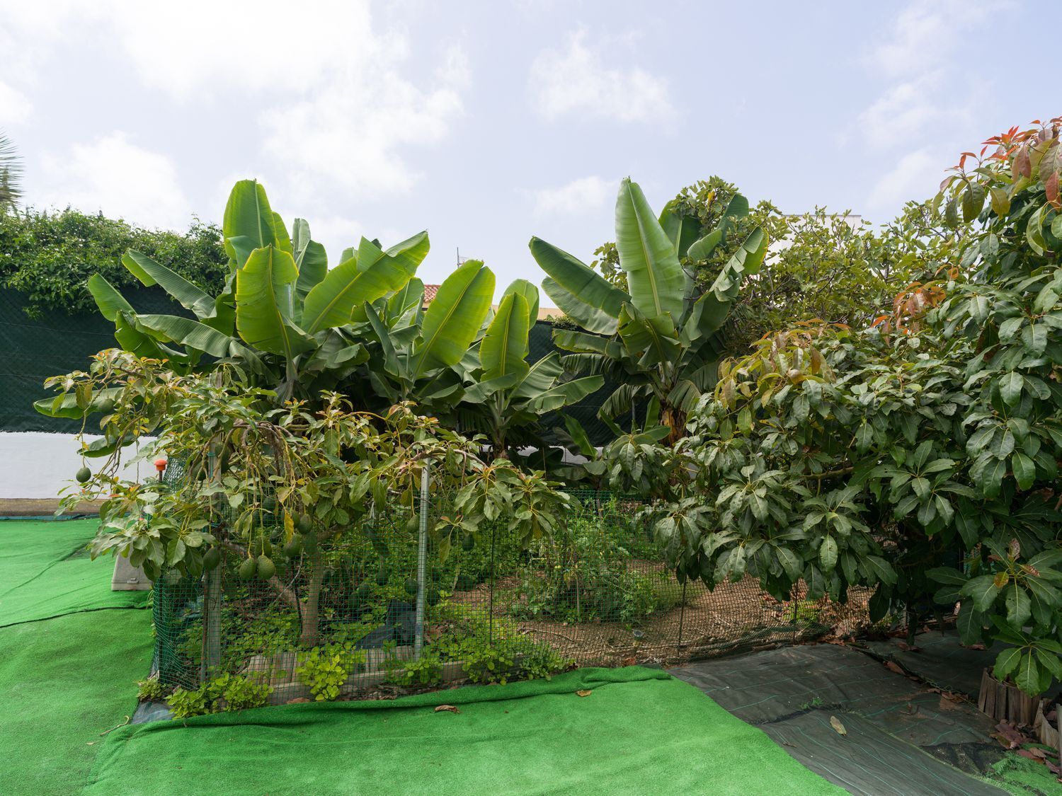 Pisos-Venta-Moya-1835929-Foto-44