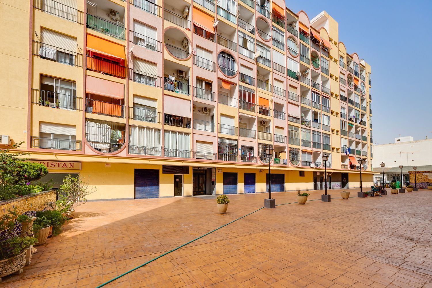 Pisos-Venta-Torrevieja-1835962-Foto-22