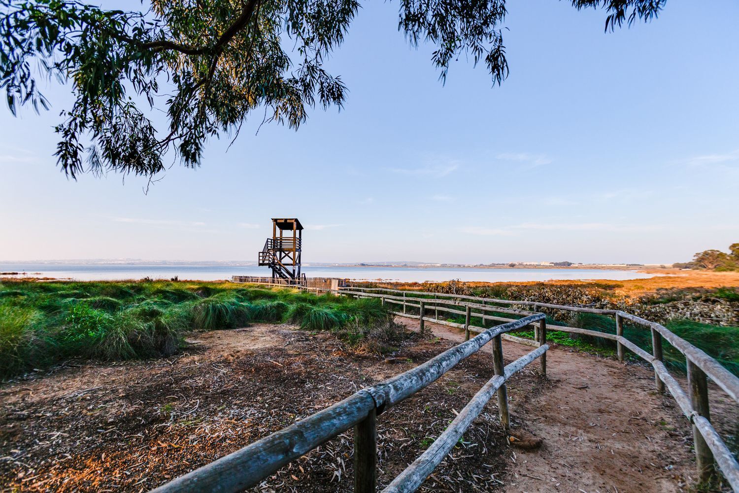 Casas o chalets-Venta-Torrevieja-1835935-Foto-59